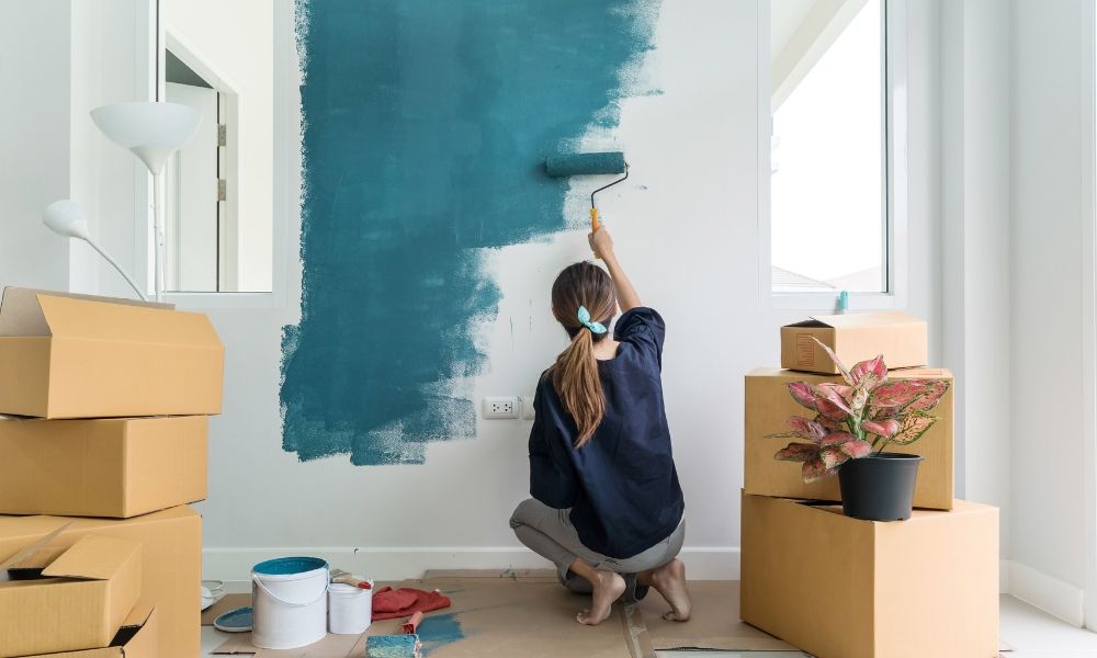 5 Eco-Friendly Paint Brands for Your Next Home Project