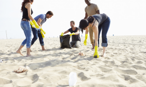 essentail and simple ways to help save the ocean