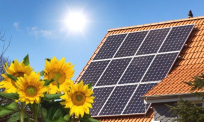 5 Effective Ways to Make Your Home Greener