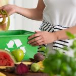 Easy Ways to Live an Eco-Friendly Lifestyle