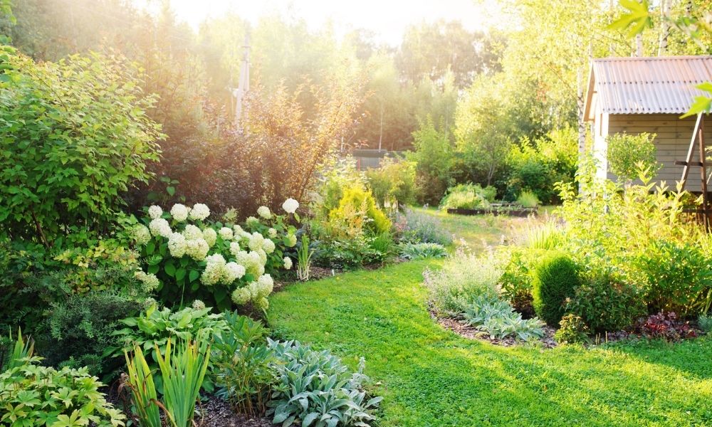 How to Prepare Your Garden for This Autumn