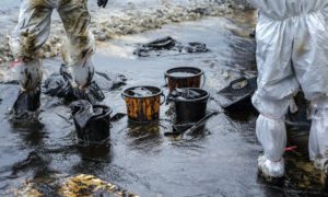 The Impact of Oil Spills on the Ecosystem