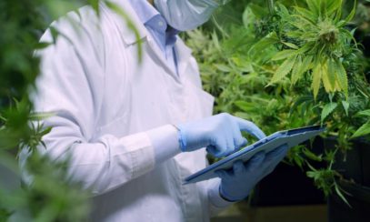 How To Select Quality Cannabis Equipment