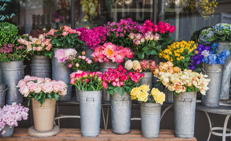 Establishing A Flower Shop What You Should Know