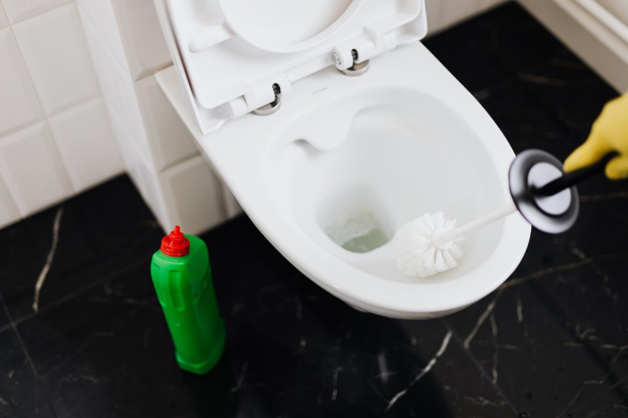 Top 20 Best Environmentally Friendly Toilet Cleaners Pretty Progressive