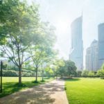 How Cities and Nature Can Coexist Together