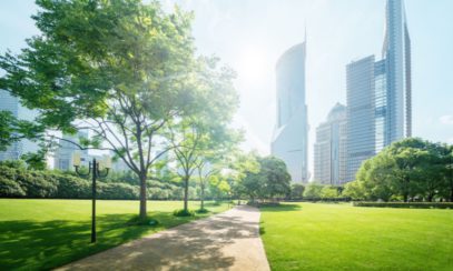 How Cities and Nature Can Coexist Together