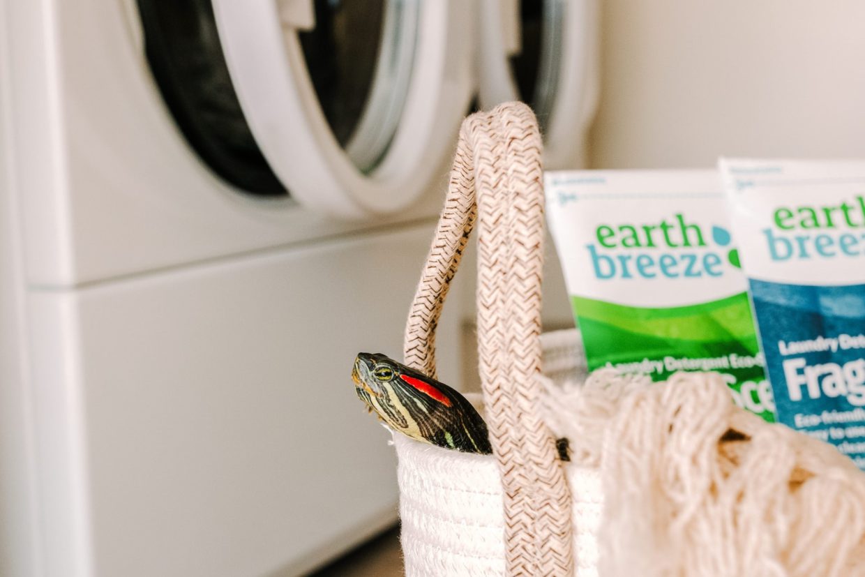 Experts Tell Us the Best Environmentally Friendly Laundry Detergents in