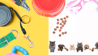 8 Must-Have Budget Pet Products For Your Furry Friend