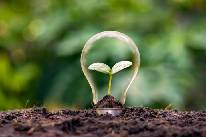 A small plant growing in dark soil in front of a blurred background with a lightbulb sitting over it to represent sustainable farming.